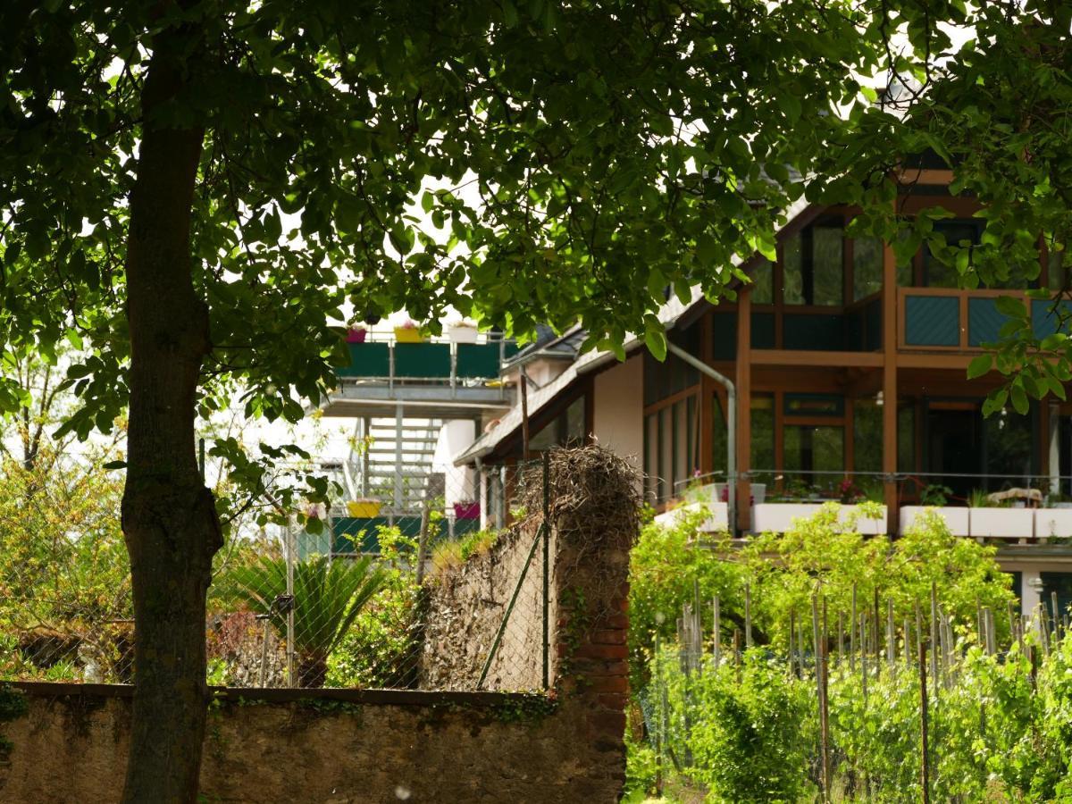 Luiza Fewo Trittenheim Ngoại thất bức ảnh